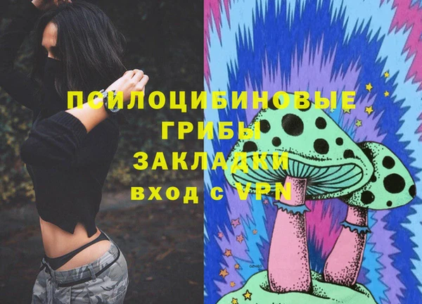 молекула духа Нефтегорск