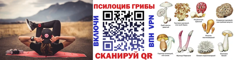 Галлюциногенные грибы GOLDEN TEACHER  что такое   Себеж 