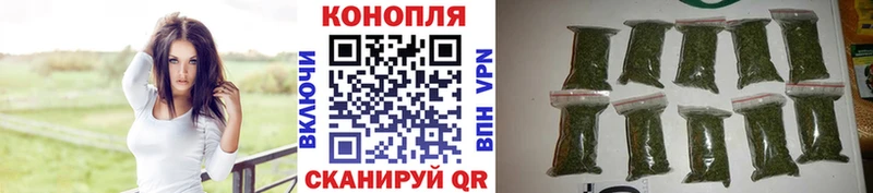 как найти закладки  Себеж  Шишки марихуана ГИДРОПОН 